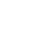 Spotify Icon